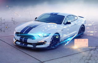 标本汽车多少钱 标本汽车多少钱