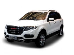 海王汽车多少钱