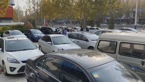 德州有多少辆汽车 德州有多少辆汽车