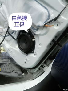 汽车高音头多少伏