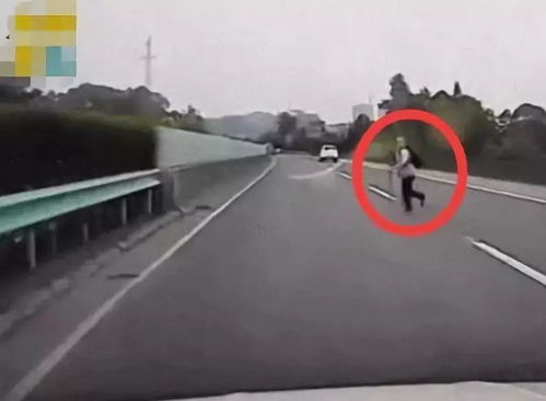 行人违规 汽车负担多少