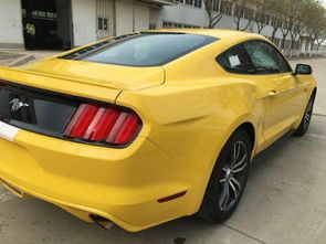 进口野马汽车油耗多少