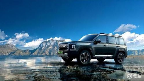 猛龙汽车价位多少 猛龙汽车价位多少