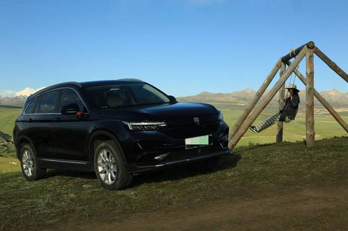 创维汽车有多少车主