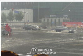 北京暴雨汽车损失多少