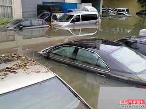 北京有多少汽车泡水