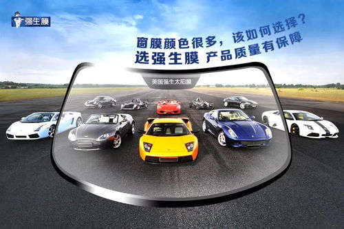 汽车膜绿色多少种