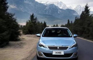 汽车最大是多少排量