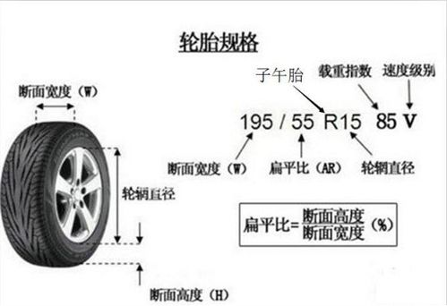 汽车轮周长是多少