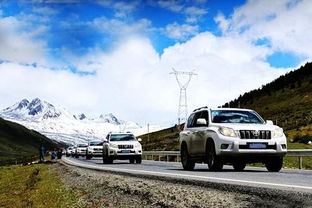 川藏线的汽车有多少 川藏线的汽车有多少