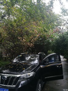 新津汽车有多少公里