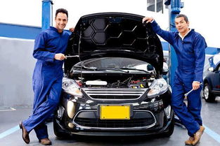 汽车加雪种多少费用