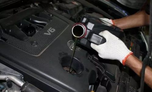 汽车加机油多少利润