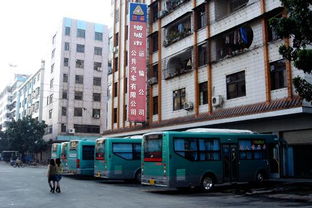 增城多少汽车站