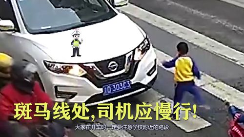 子母汽车多少钱 子母汽车多少钱