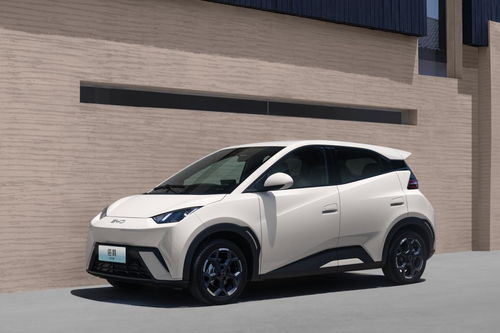 海鸥汽车功率是多少