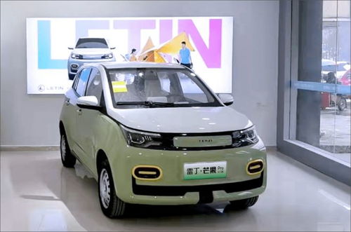 雷丁汽车多少资产