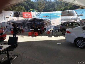 毕节起亚汽车估价多少