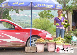 汽车摊位摆摊收入多少 汽车摊位摆摊收入多少