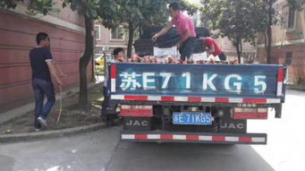 汽车能装多少活鸡 汽车能装多少活鸡