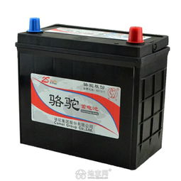 汽车电瓶修复多少合适