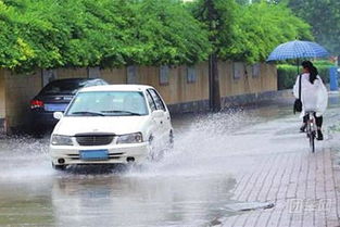 汽车溅水被罚款多少