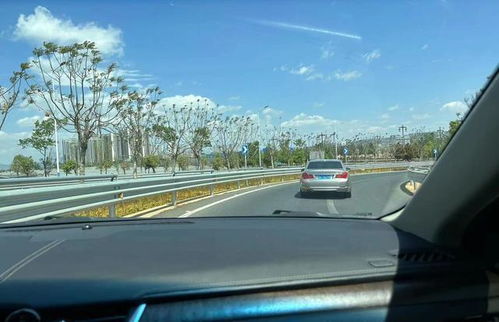 燃油汽车车速多少 燃油汽车车速多少