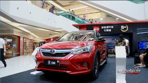 比亚迪卖出多少汽车股票