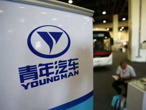 青年汽车有多少专利 青年汽车有多少专利