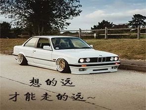 汽车洗车店利润多少