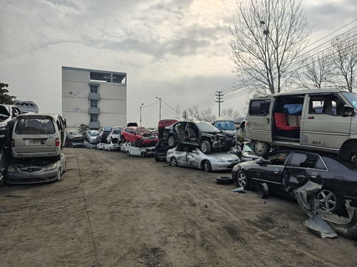 城关汽车报废报价多少 城关汽车报废报价多少