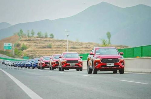 高山汽车落地价多少 高山汽车落地价多少