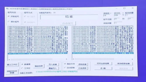 汽车摇号收入多少