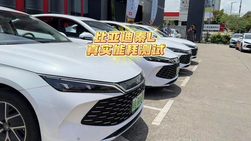比亚迪汽车真实油耗多少