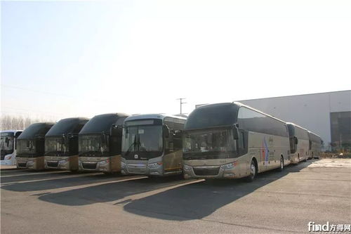 出口沙特汽车数量多少