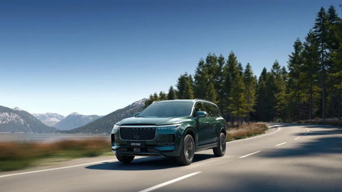 理想汽车首付多少合适