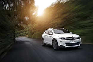 汽车三十万首付多少