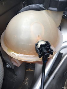 汽车冷却壶价格多少