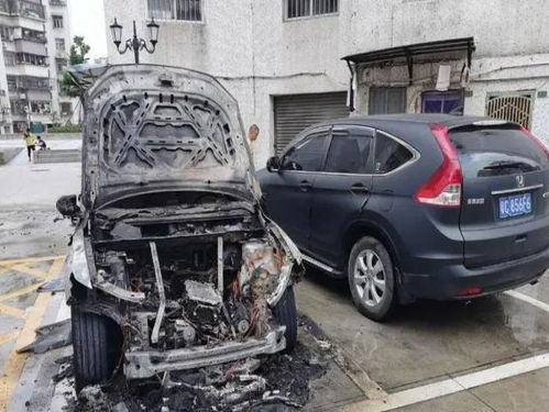 比亚迪汽车自燃多少辆