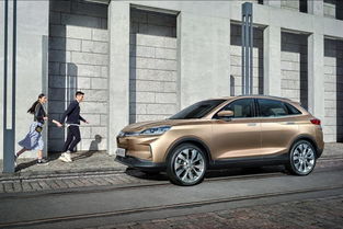 汽车毒药多少钱