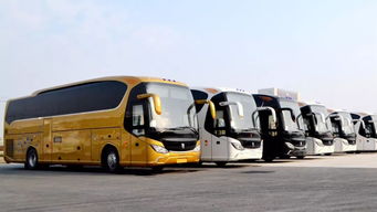 沙特汽车研发投入多少 沙特汽车研发投入多少