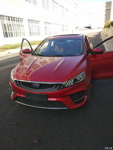 滨瑞汽车油耗多少