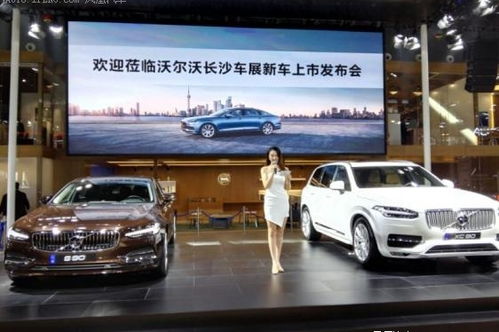 长沙人均汽车多少