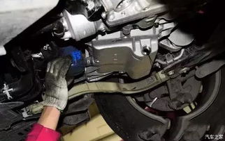 汽车更换雪种需要多少