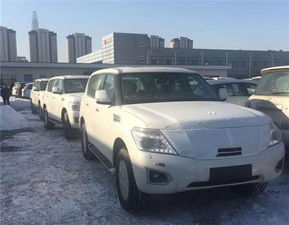 沙漠之王汽车多少马力