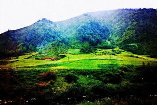 祁连张掖坐汽车多少