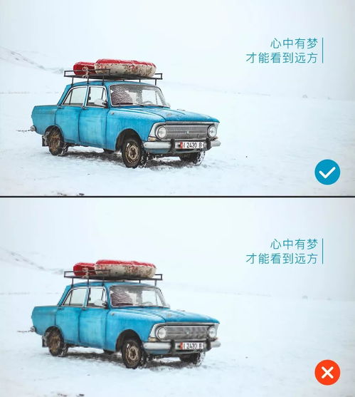 钟汉良汽车有多少辆