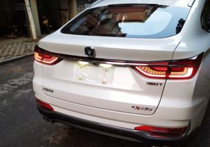 全国汽车耗油多少吨