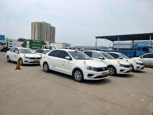 淮安有多少汽车教练