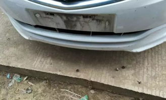 偷车汽车多少钱